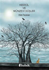 Kedicil ve Münzevi Düşler / Dilek Toraman