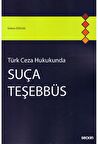 Suça Teşebbüs