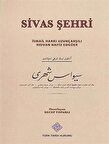Sivas Şehri