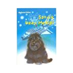 Satılık Uzay Mekiği