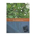 Boğaziçi Üniversitesi’nde Sonbahar