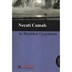 Ay Büyürken Uyuyamam