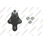 ROTİL ÖN ALT 308 9831088280TKNROT