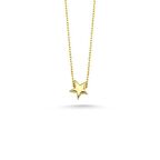 14 Ayar Altın Yıldız Kolye