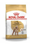 Royal Canin Poodle Adult Yetişkin Köpek Maması 3 Kg