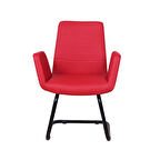 Vector Deri Misafir Koltuğu