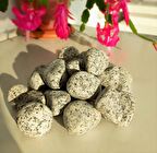 Benekli Dolomit Taş 10 Kg 2-4 Cm Granit Bahçe Dere Taşı Çakıl Taşı