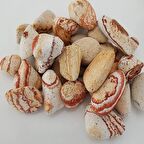 Sarı Çizgili Dolomit Taş 3 Kg 2-4 Cm Renkli Dolomit Dekoratif Taş