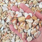 Sarı Çizgili Dolomit Taş 20 Kg 1-2 Cm Bahçe Dere Taşı Çakıl Taşı