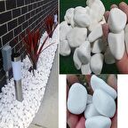 Dolomit Taş 100 Kg 2-4 Cm Beyaz Dere Taşı Çakıl Taşı Bahçe Süs Taş