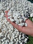 Dolomit Taş 1 Kg 2-4 Cm Beyaz Dere Taşı Çakıl Taşı Bahçe Süs Taş