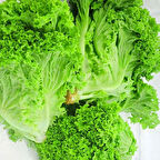 Geleneksel  Soğuğa Dayanıklı Big Bag Yeşil Kıvırcık Marul Tohumu (100tohum)