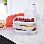 3 Katlı Alaska Buzluk Saklama Kabı Karpuz 675 ml