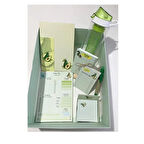  HEDİYELİK KUTU(AVAKADO)