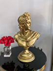 Apollo Büst Büyük Boy Heykel