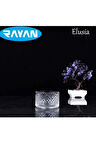 Elusia Lines Çizgili Tekli Cam Çerezlik 82637