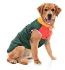 Orta ve Büyük Irk Köpek Mont - Murpota Yeşil