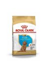 Poodle Junior Yavru Köpek Maması 3 kg