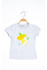 1-4 Yaş Baskılı Tişört Gri - 524419.1576.