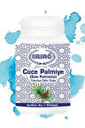 Ersağ Cüce Palmiye (saw Palmetto)