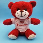 Kırmızı I Love You Peluş Ayıcık