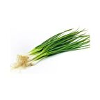 Yerli Ata Tohumu Yeşil Taze Soğan 50 Adet