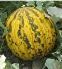 Yerli Ata Tohumu Dalaman Kavun 10 Adet