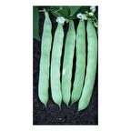 Yerli Ata Tohumu Sırık Ayşe Kadın Erken Fasulye 25 Gr (Siyah-Beyaz Tohum)