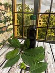 DEFNE YAĞI (El Yapımı) 250 ML