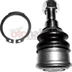 AYD 06121 Rotil Jazz 02 HRV Alt 51220SELT01