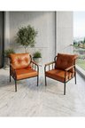 Azra Mobilya Paris Model Balkon Berjeri Takımı Taba Rengi 2 Kişilik Metal İskelet Deri Minder