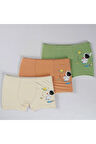 ELMAS Karışık Desen 3lü Erkek Çocuk Boxer Set B-77