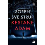 Kestane Adam - Masal ve Hikaye
