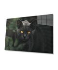 Siyah Kedi Cam Tablo