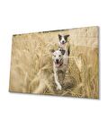 Köpek 2 Cam Tablo