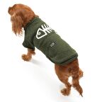 Küçük ve Orta Irk Köpek Kazak - Lalit Yeşil