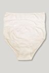Kadın Ekru 3'lü Paket Pamuklu Büyük Beden Bato Külot
