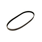 Nissan Primera Vantilatör Kayişi (1995-1999) 2.0 94AB6C301C1A