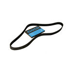  Fiesta Vantilatör Kayişi (1995-2002) 1.4, 1.25 96MF6C301CC