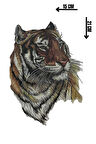 Geçici Kaplan Figürlü Dövme Tattoo