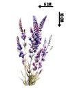 Geçici Lavanta Figürlü Dövme Tattoo