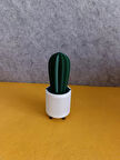 Yapay Kaktüs Tekli YK4 - Yapay Çiçek - Yapay Bitki