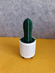 Yapay Kaktüs Tekli YK4 - Yapay Çiçek - Yapay Bitki