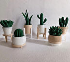 6'lı Yapay Kaktüs Set (18 Parça) - Yapay Çiçek - Yapay Bitki