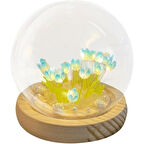 LED Işıklı Kendin Yap Lale Cam Küre