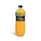 Pulpy Portakal 1 Lt.