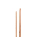 FIRCA SAPI 150cm 1 Adet