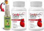 Cardiamin Forte 2 Kutu Multivitaminli OMEGA3LÜ 60 Soft Jel Kapsüllü Formül + Çörek Otu Masaj Yağı 30 ml