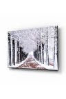 Kış Manzarası Doğa Cam Tablo 4mm Dayanıklı Temperli Cam