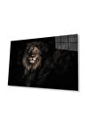 Aslan Cam Tablo 4mm Dayanıklı Temperli Cam
